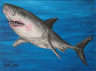 Great White Subject: Underwater/Sea Life Acrylic